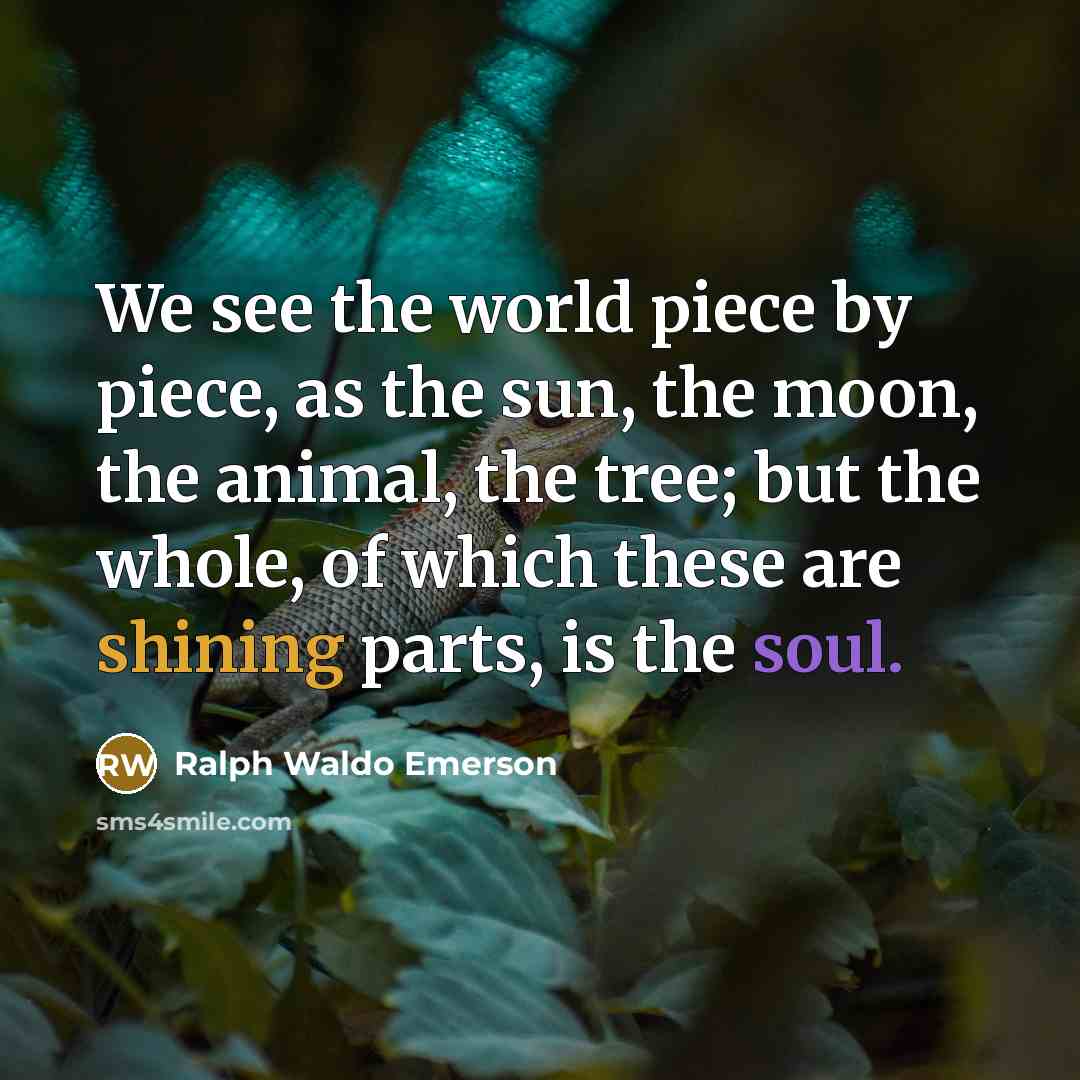 “We see the world piece by piece, as the sun,…” quote by Ralph Waldo Emerson