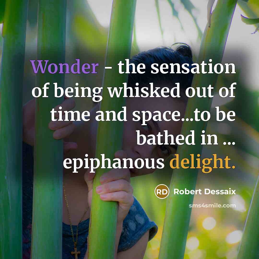 “Wonder - the sensation of being whisked out of time…” quote by Robert Dessaix