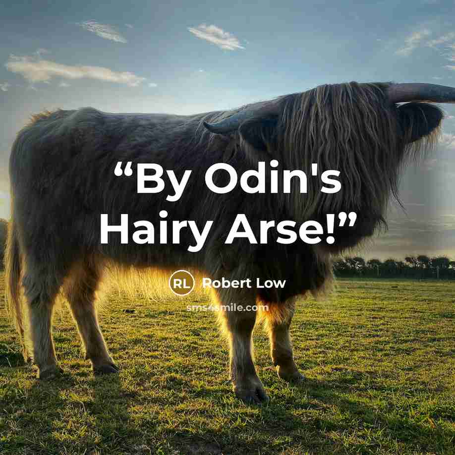 “By Odin's Hairy Arse!” quote by Robert Low