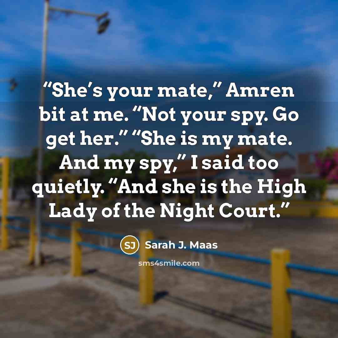 “She’s your mate,” Amren bit at me. “Not your spy. Go get her.” “She is my mate. And my spy,” I said too quietly. “And she is the High Lady of the Night Court.” quote by Sarah J. Maas