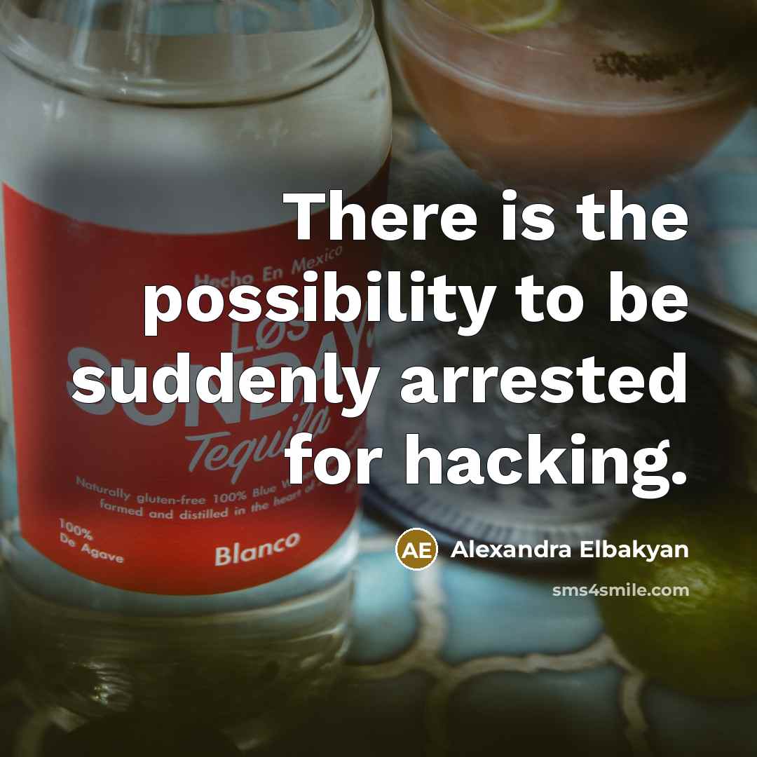 “There is the possibility to be suddenly arrested for hacking.…” quote by Alexandra Elbakyan