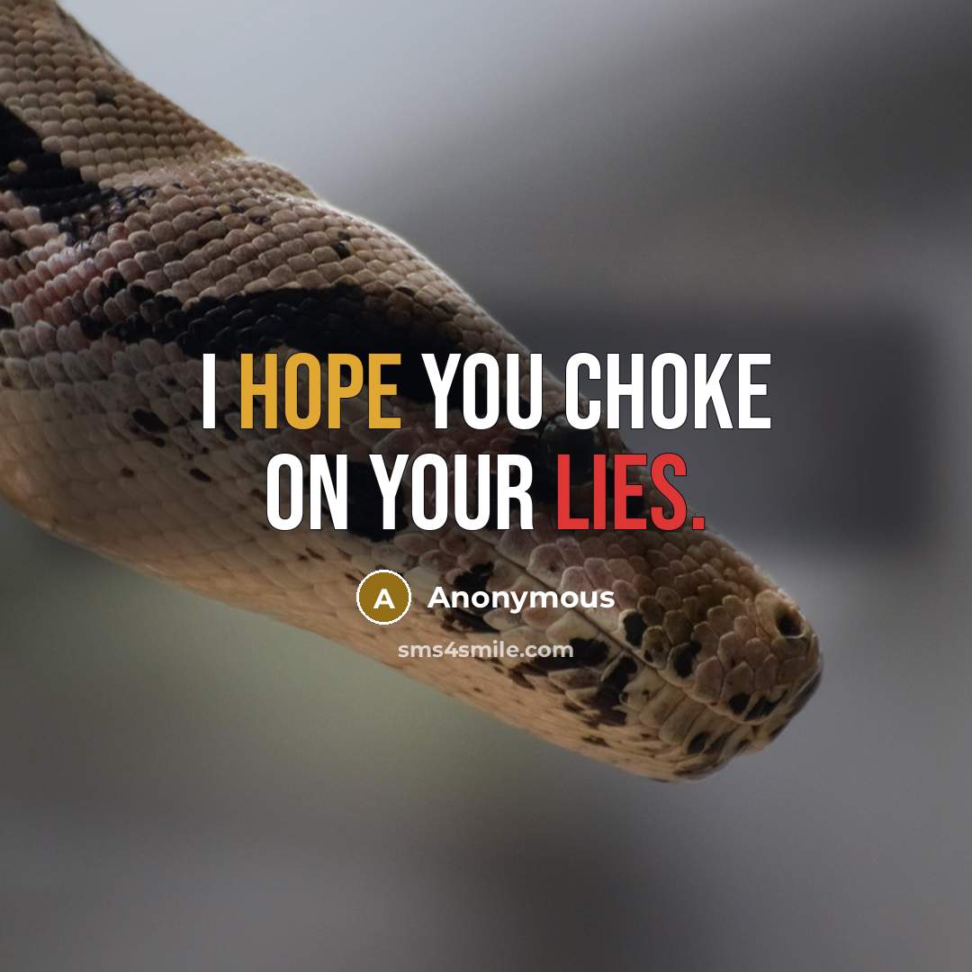 “I hope you choke on your lies.” quote by Anonymous