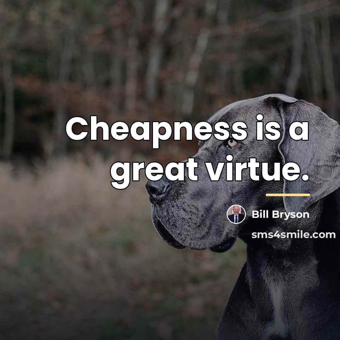 “Cheapness is a great virtue.…” quote by Bill Bryson