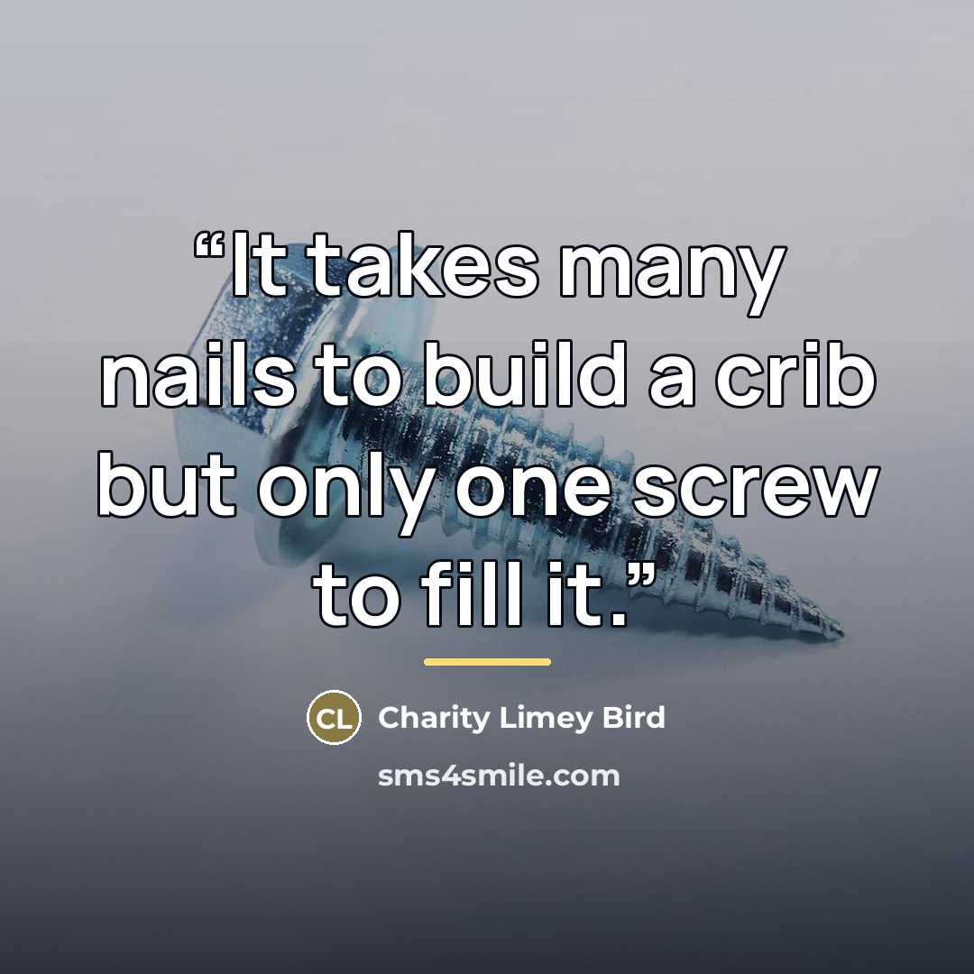 “It takes many nails to build a crib but only one screw to fill it.” quote by Charity Limey Bird