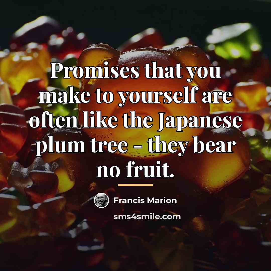 “Promises that you make to yourself are often like the…” quote by Francis Marion