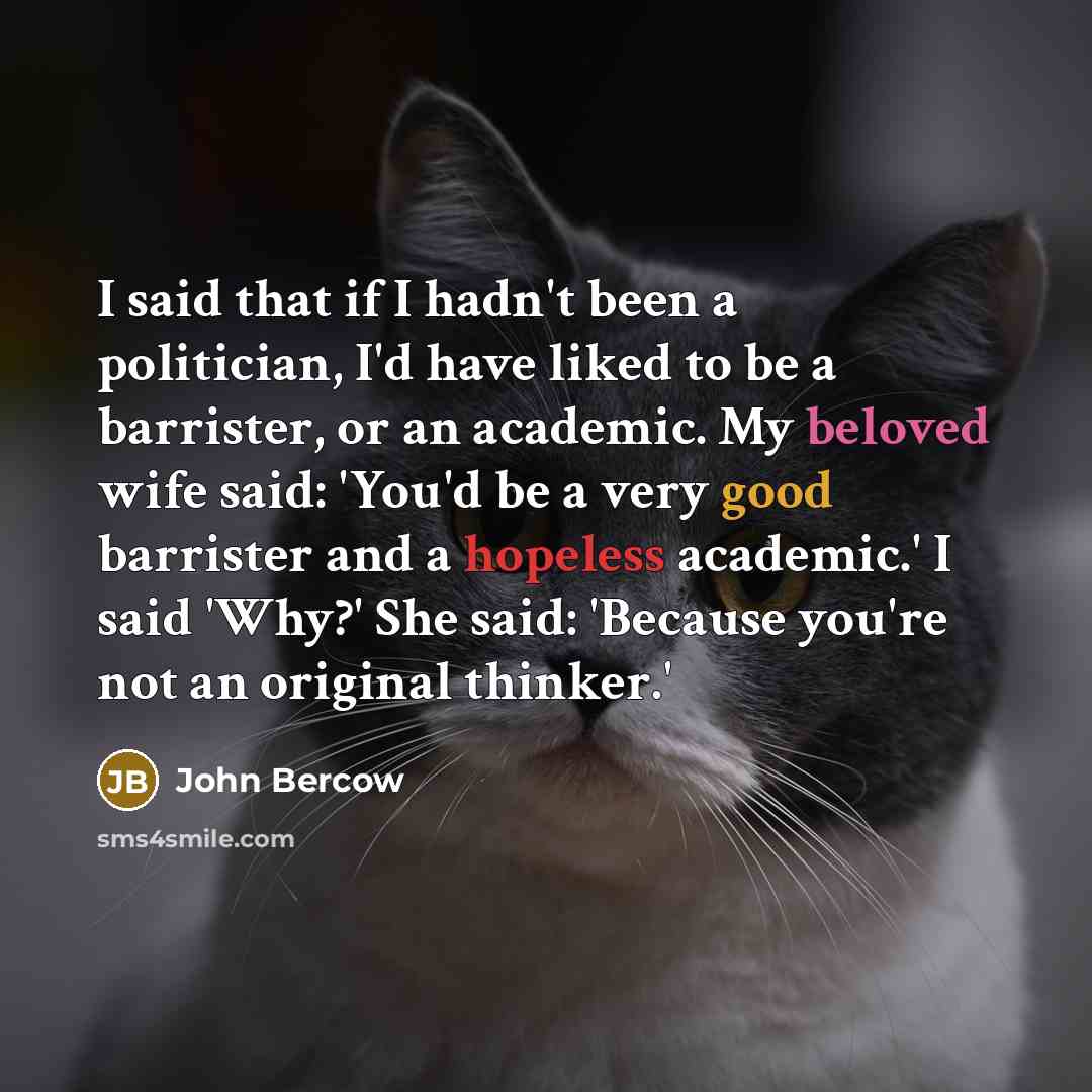“I said that if I hadn't been a politician, I'd…” quote by John Bercow