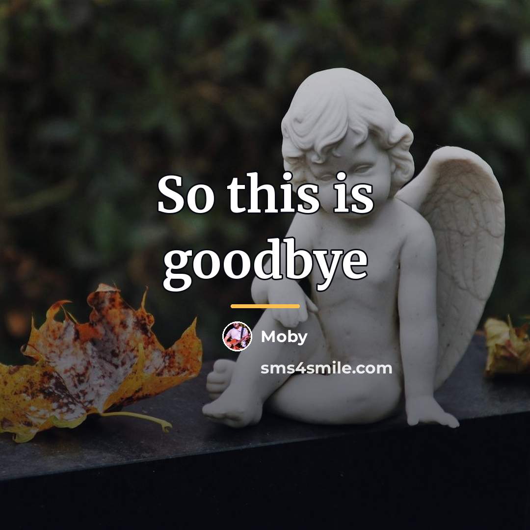 “So this is goodbye…” quote by Moby