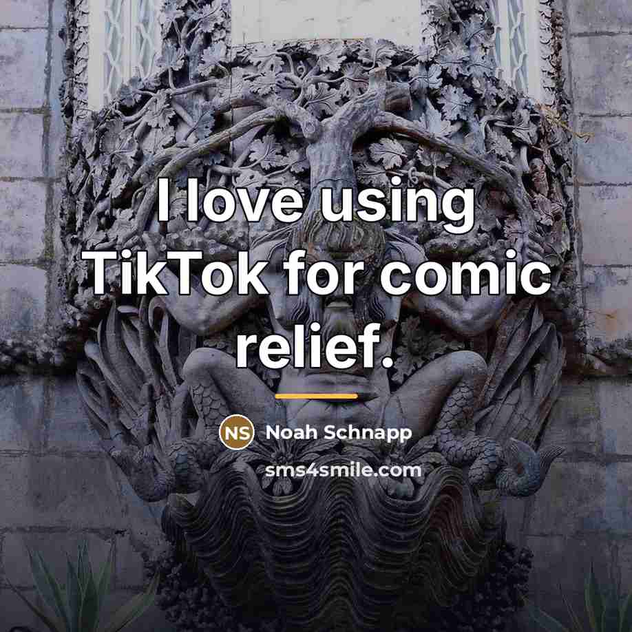 “I love using TikTok for comic relief.…” quote by Noah Schnapp