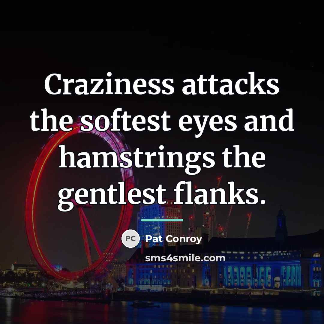 “Craziness attacks the softest eyes and hamstrings the gentlest flanks.…” quote by Pat Conroy
