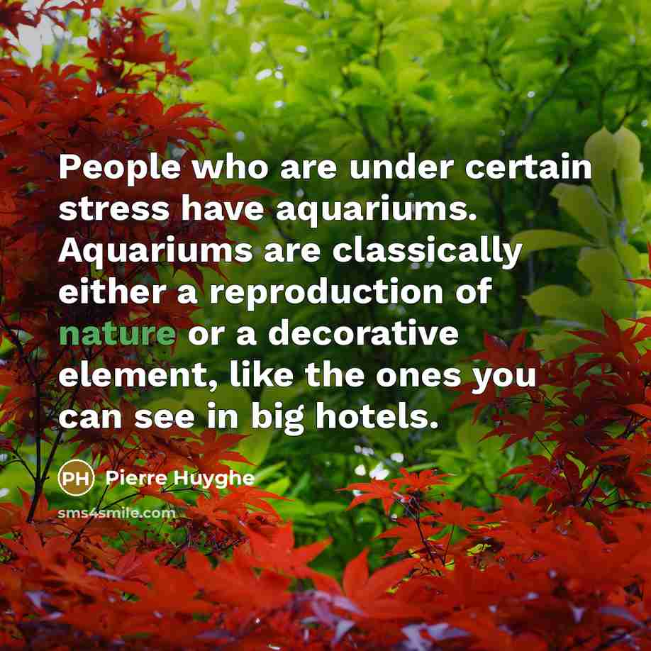 “People who are under certain stress have aquariums. Aquariums are…” quote by Pierre Huyghe