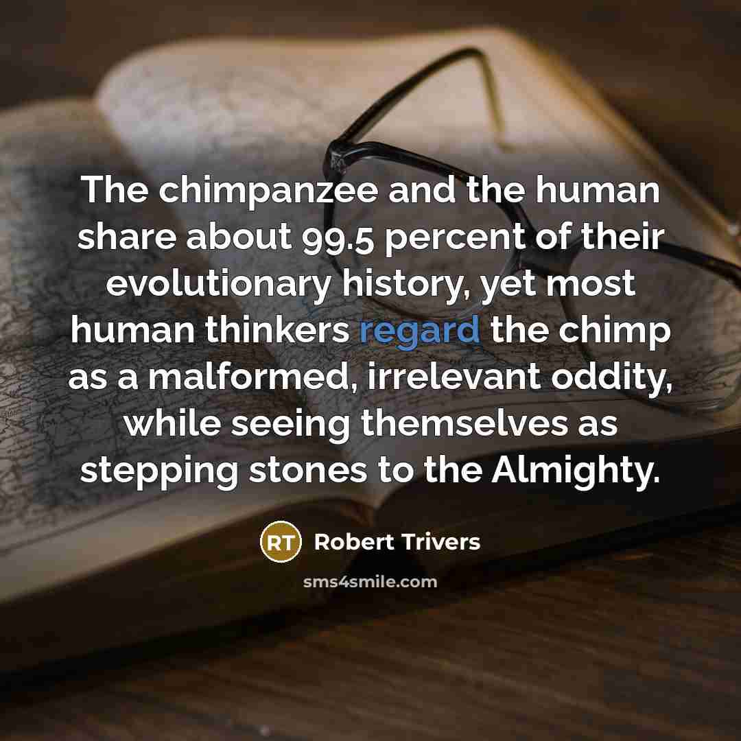 “The chimpanzee and the human share about 99.5 percent of…” quote by Robert Trivers