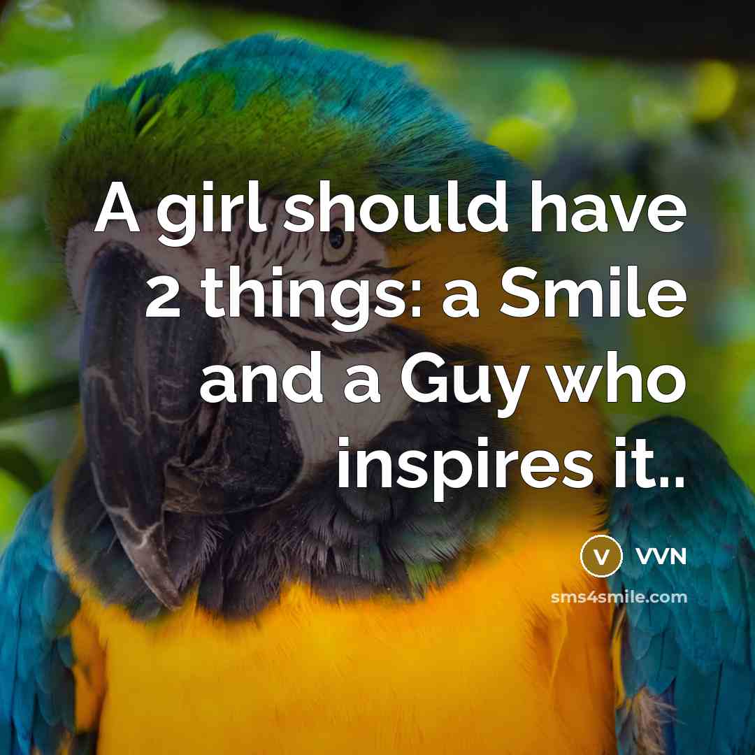 “A girl should have 2 things: a Smile and a…” quote by VVN