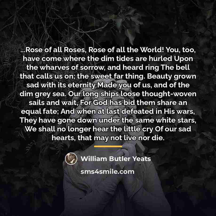 “...Rose of all Roses, Rose of all the World! You,…” quote by William Butler Yeats
