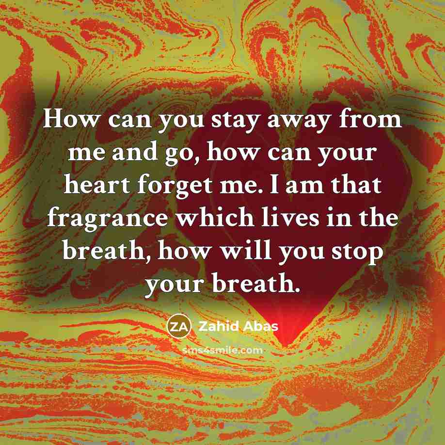 “How can you stay away from me and go, how can your heart forget me. I am that fragrance which lives in the breath, how will you stop your breath.” quote by Zahid Abas