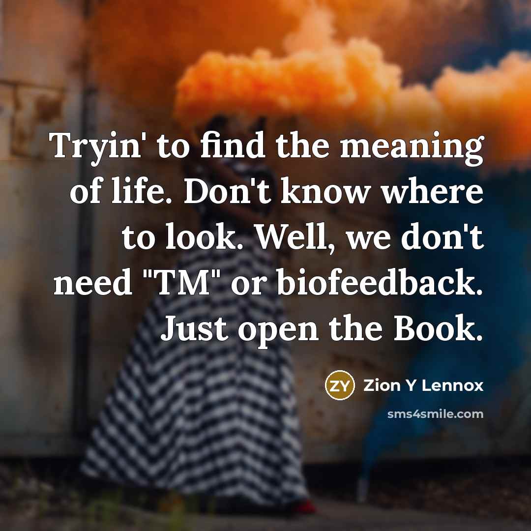 “Tryin' to find the meaning of life. Don't know where…” quote by Zion Y Lennox