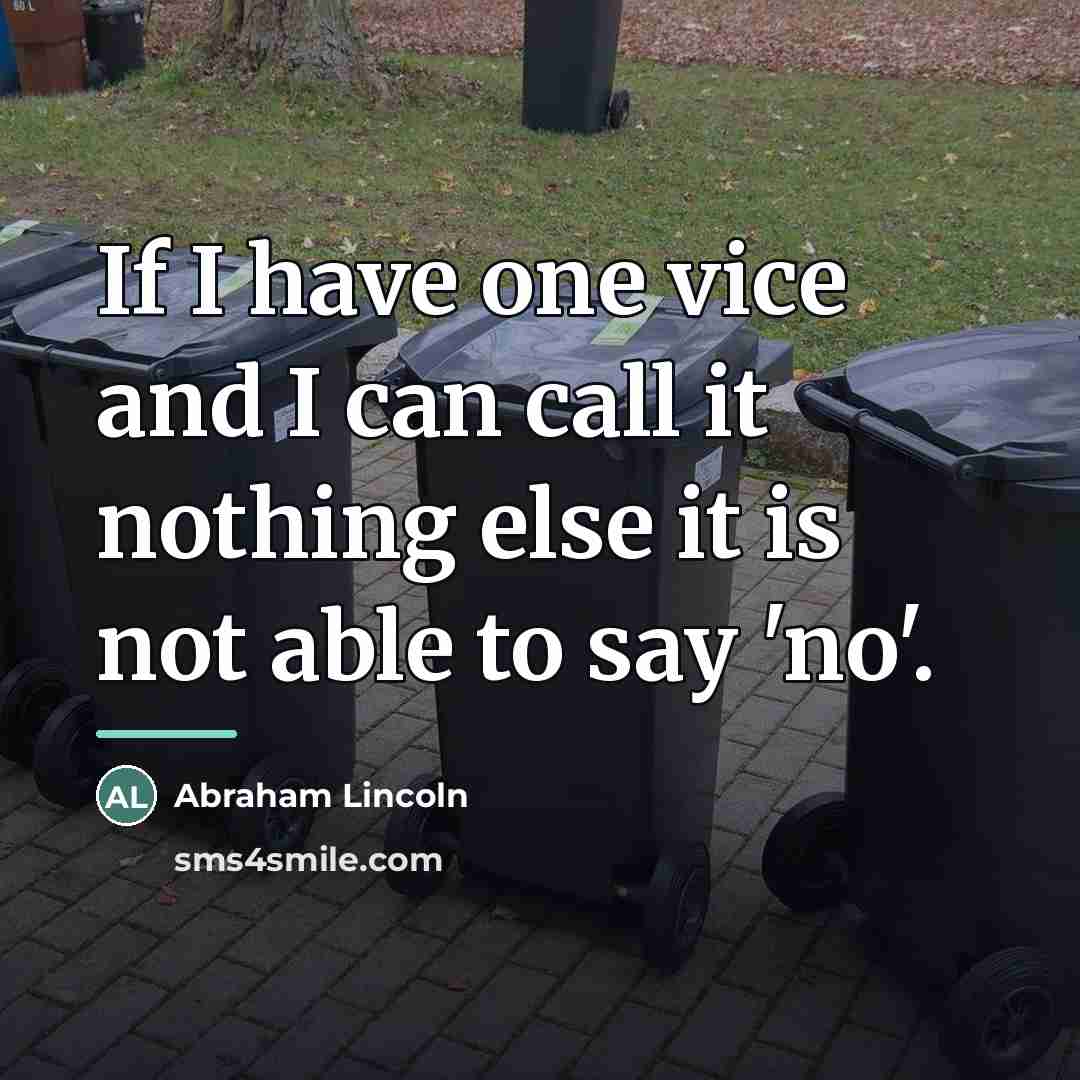 “If I have one vice and I can call it…” quote by Abraham Lincoln