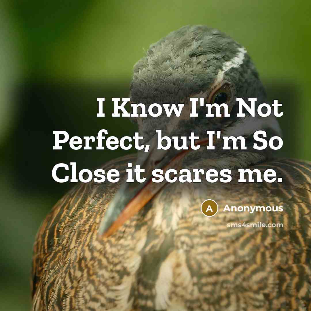 “I Know I'm Not Perfect, but I'm So Close it…” quote by Anonymous