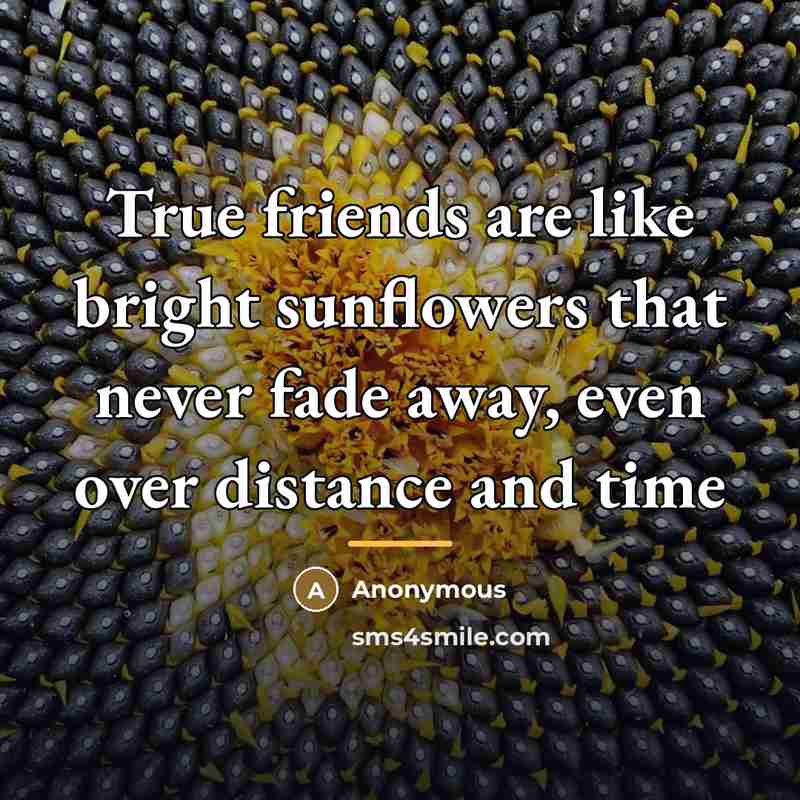 “True friends are like bright sunflowers that never fade away,…” quote by Anonymous