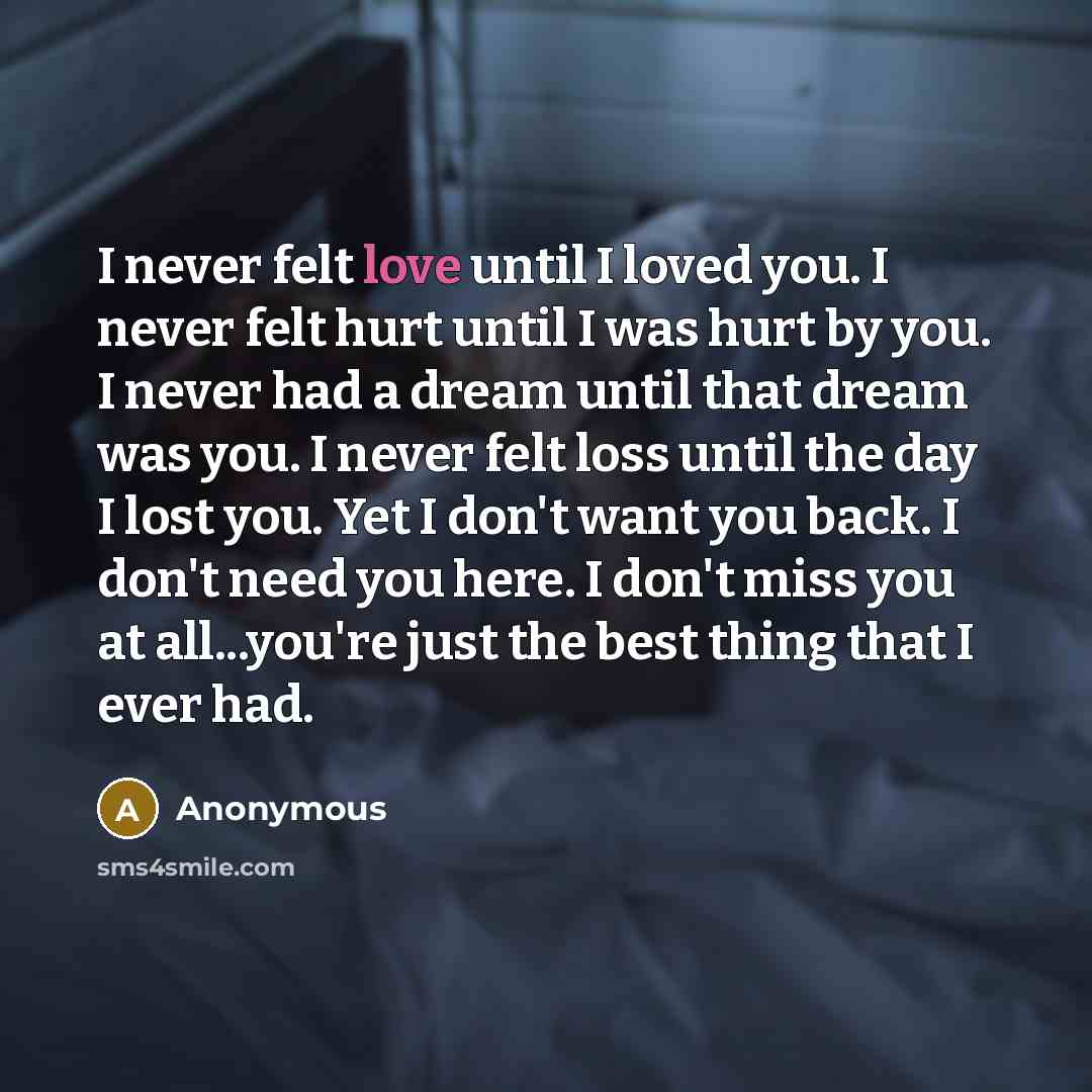“I never felt love until I loved you. I never…” quote by Anonymous