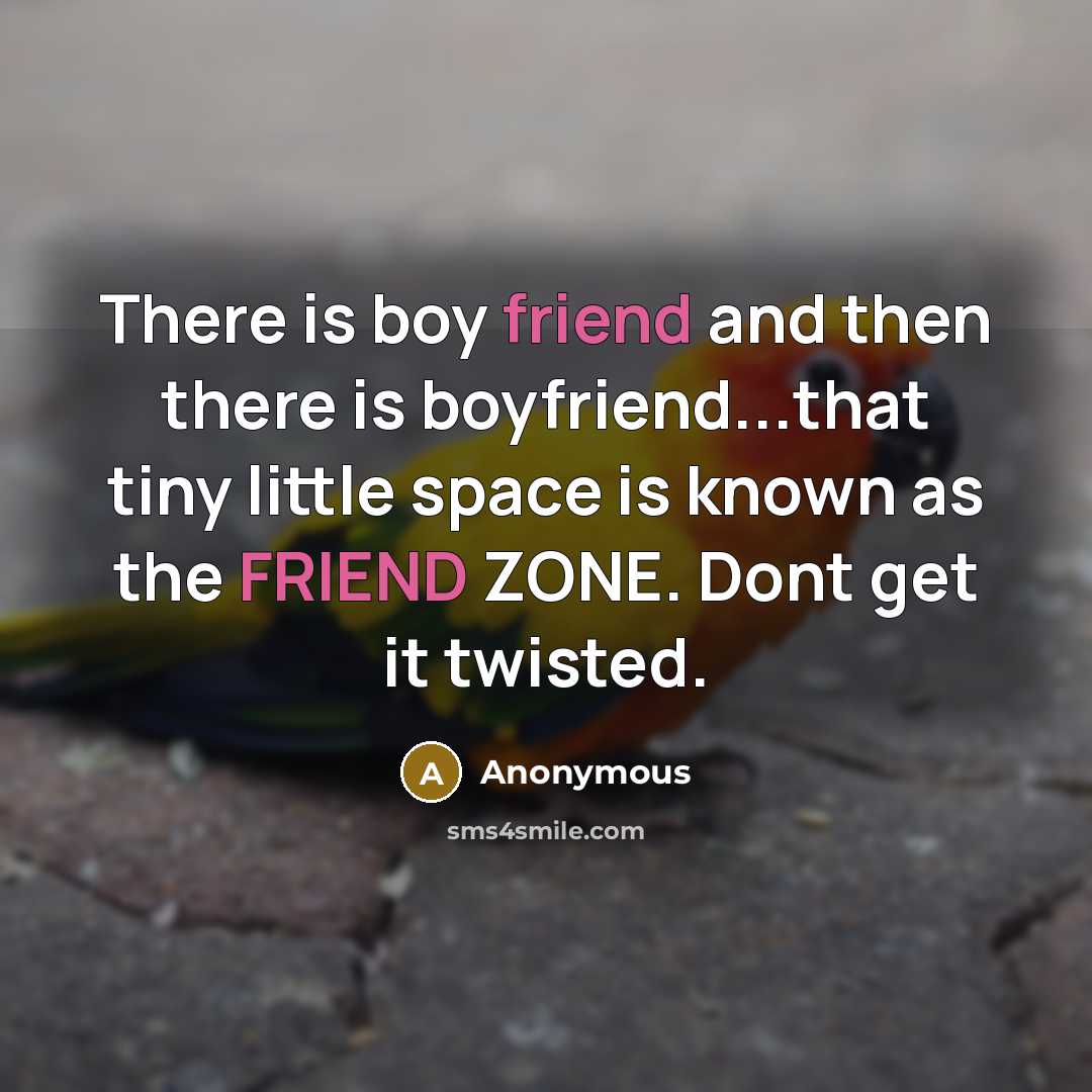 “There is boy friend and then there is boyfriend...that tiny little space is known as the FRIEND ZONE. Dont get it twisted.” quote by Anonymous