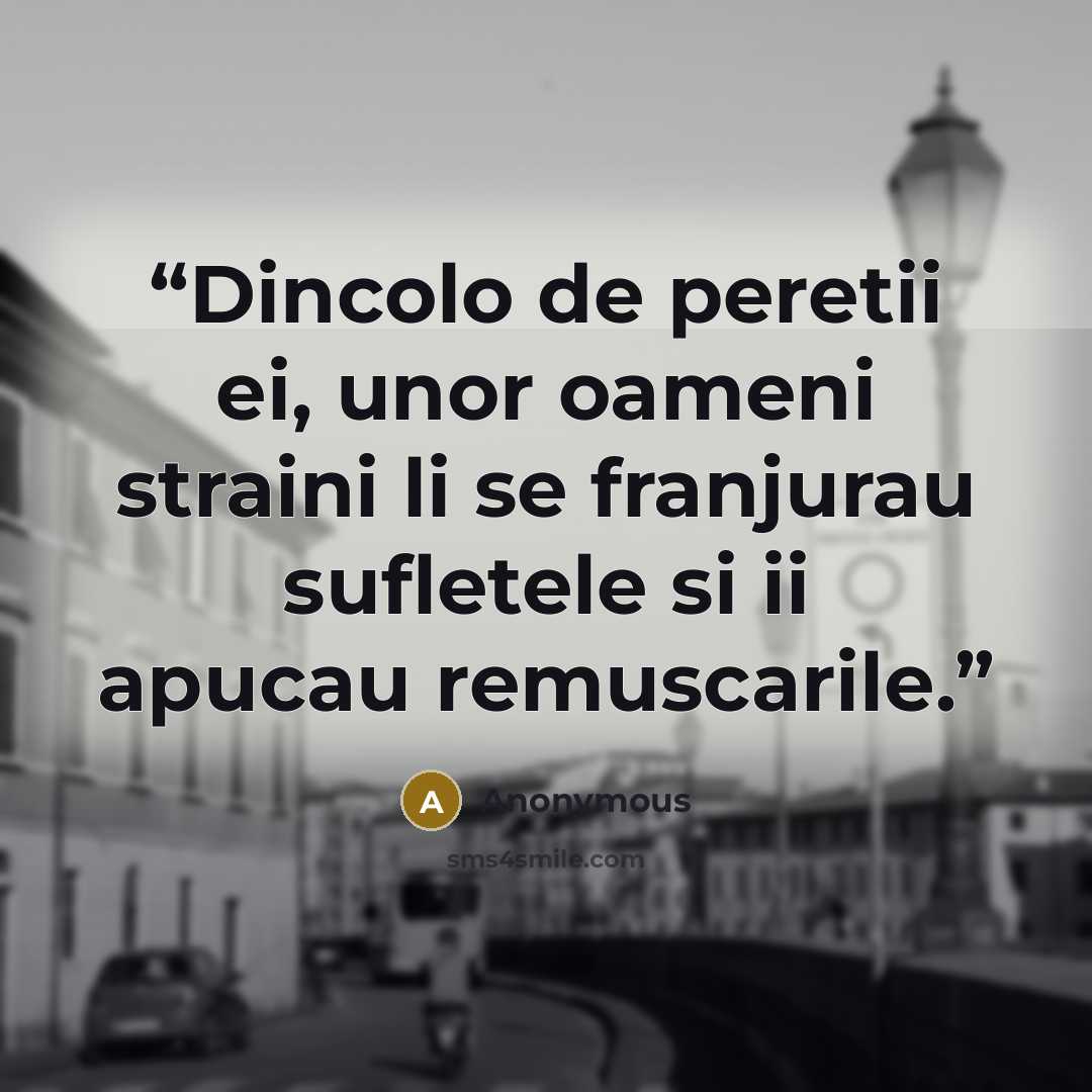 “Dincolo de peretii ei, unor oameni straini li se franjurau sufletele si ii apucau remuscarile.” quote by Anonymous