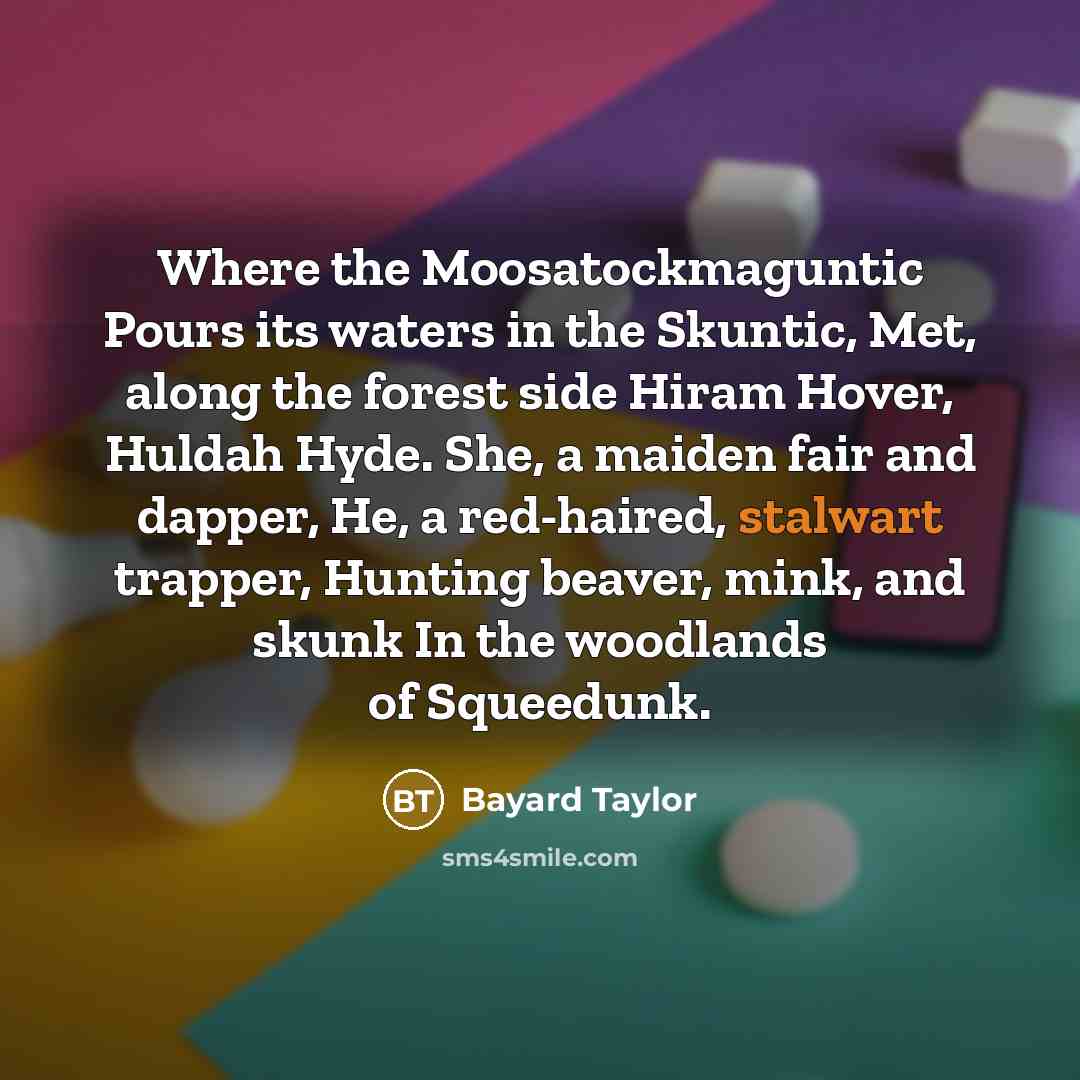 “Where the Moosatockmaguntic Pours its waters in the Skuntic, Met,…” quote by Bayard Taylor