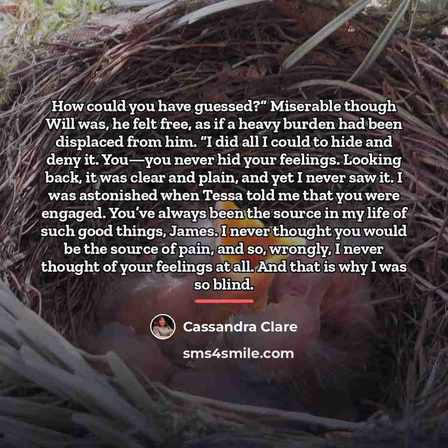 “How could you have guessed?” Miserable though Will was, he…” quote by Cassandra Clare