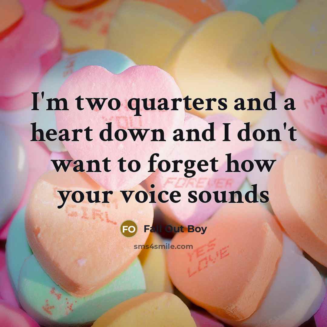 “I'm two quarters and a heart down and I don't want to forget how your voice sounds” quote by Fall Out Boy