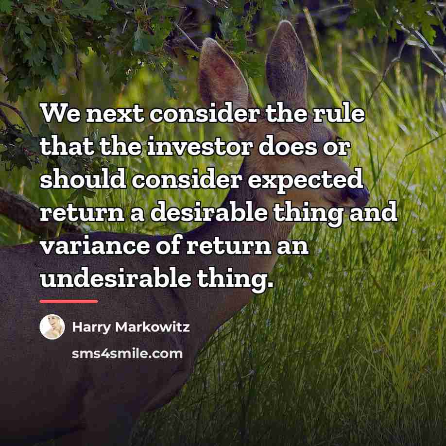 “We next consider the rule that the investor does or…” quote by Harry Markowitz