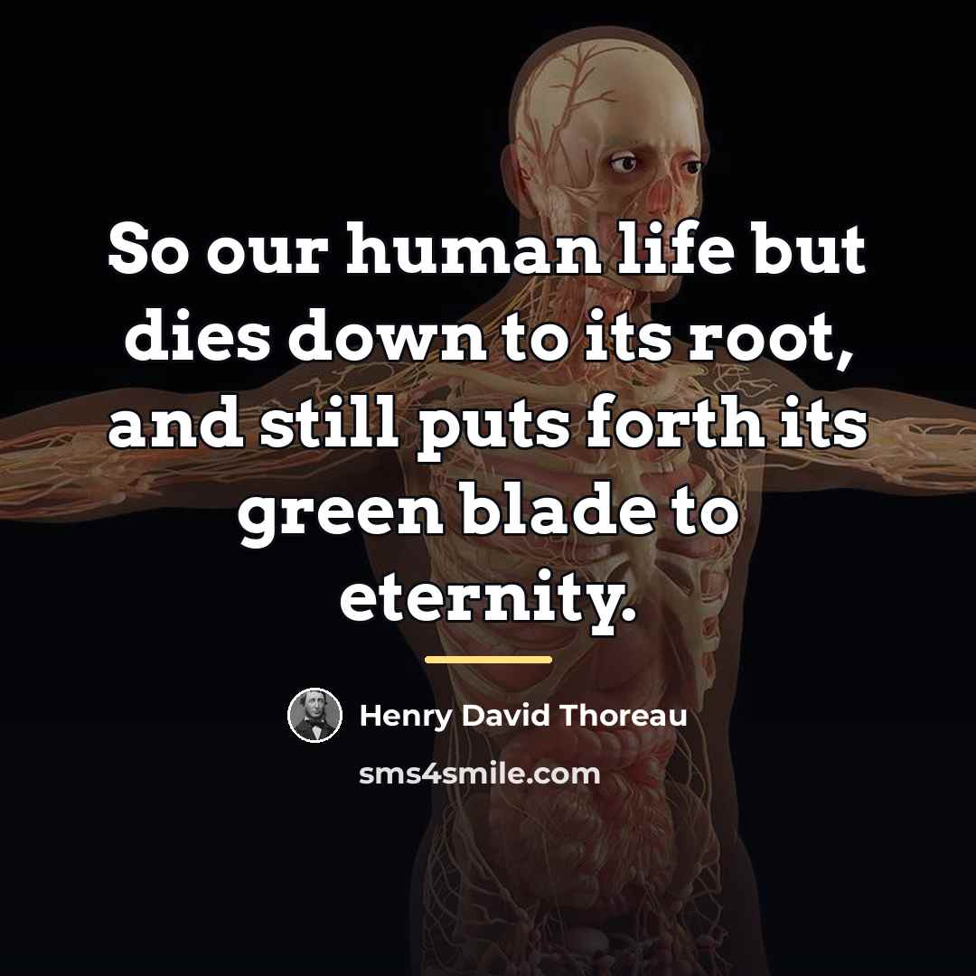 “So our human life but dies down to its root,…” quote by Henry David Thoreau