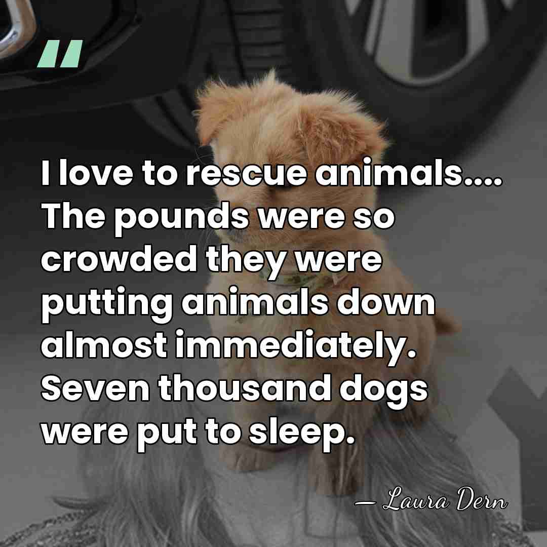 I love to rescue animals.... The pounds were so crowded they were&hellip; - Laura Dern