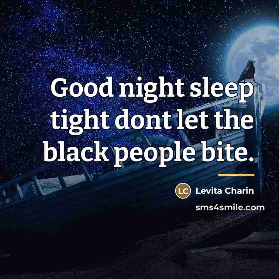 “Good night sleep tight dont let the black people bite.…” quote by Levita Charin