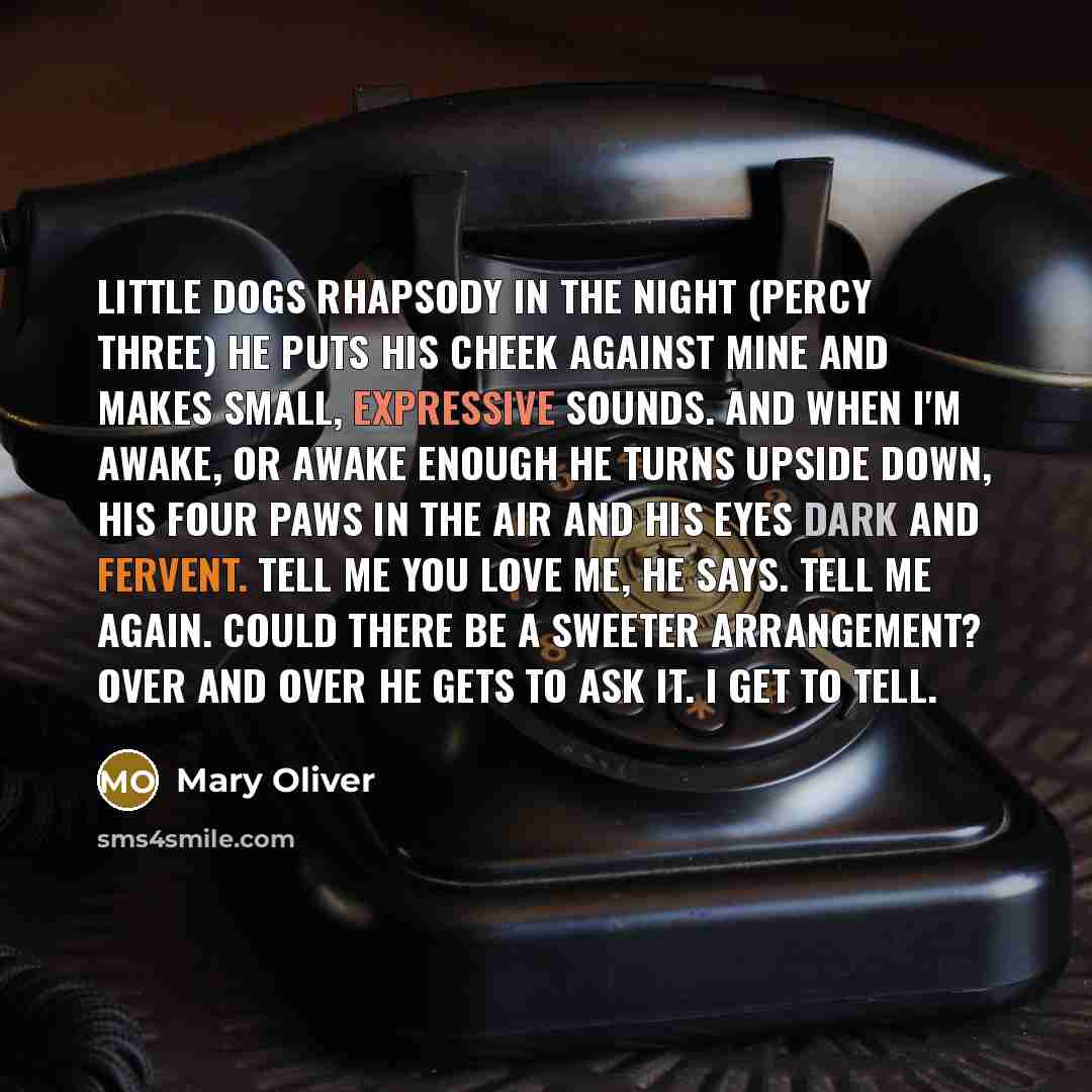 “LITTLE DOGS RHAPSODY IN THE NIGHT (PERCY THREE) He puts…” quote by Mary Oliver