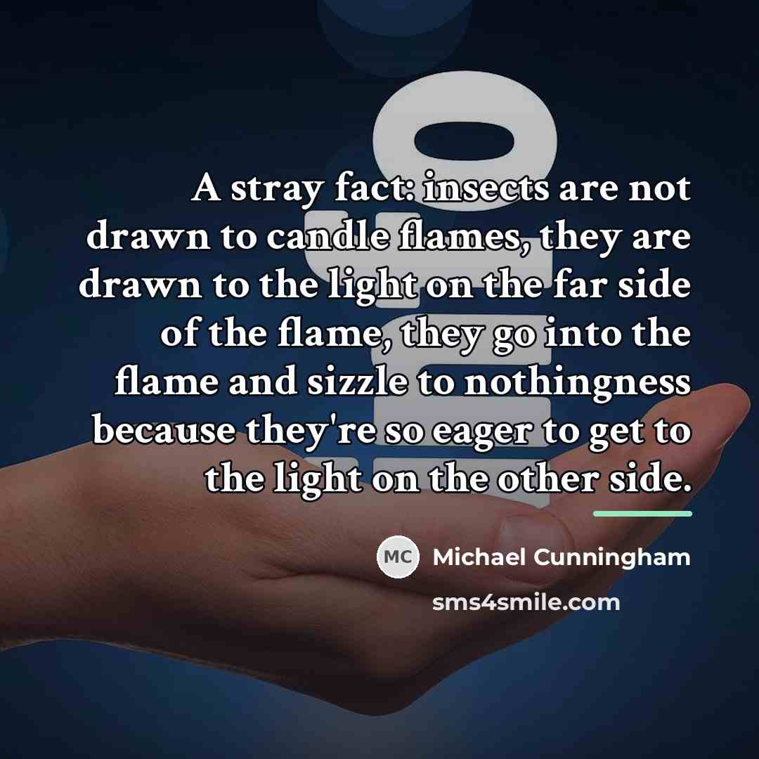 “A stray fact: insects are not drawn to candle flames,…” quote by Michael Cunningham