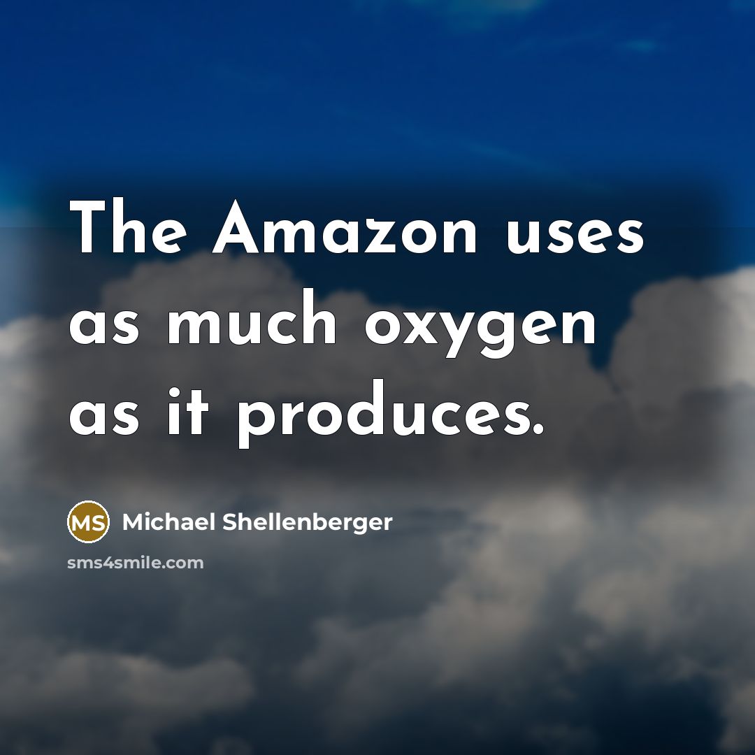“The Amazon uses as much oxygen as it produces.” quote by Michael Shellenberger