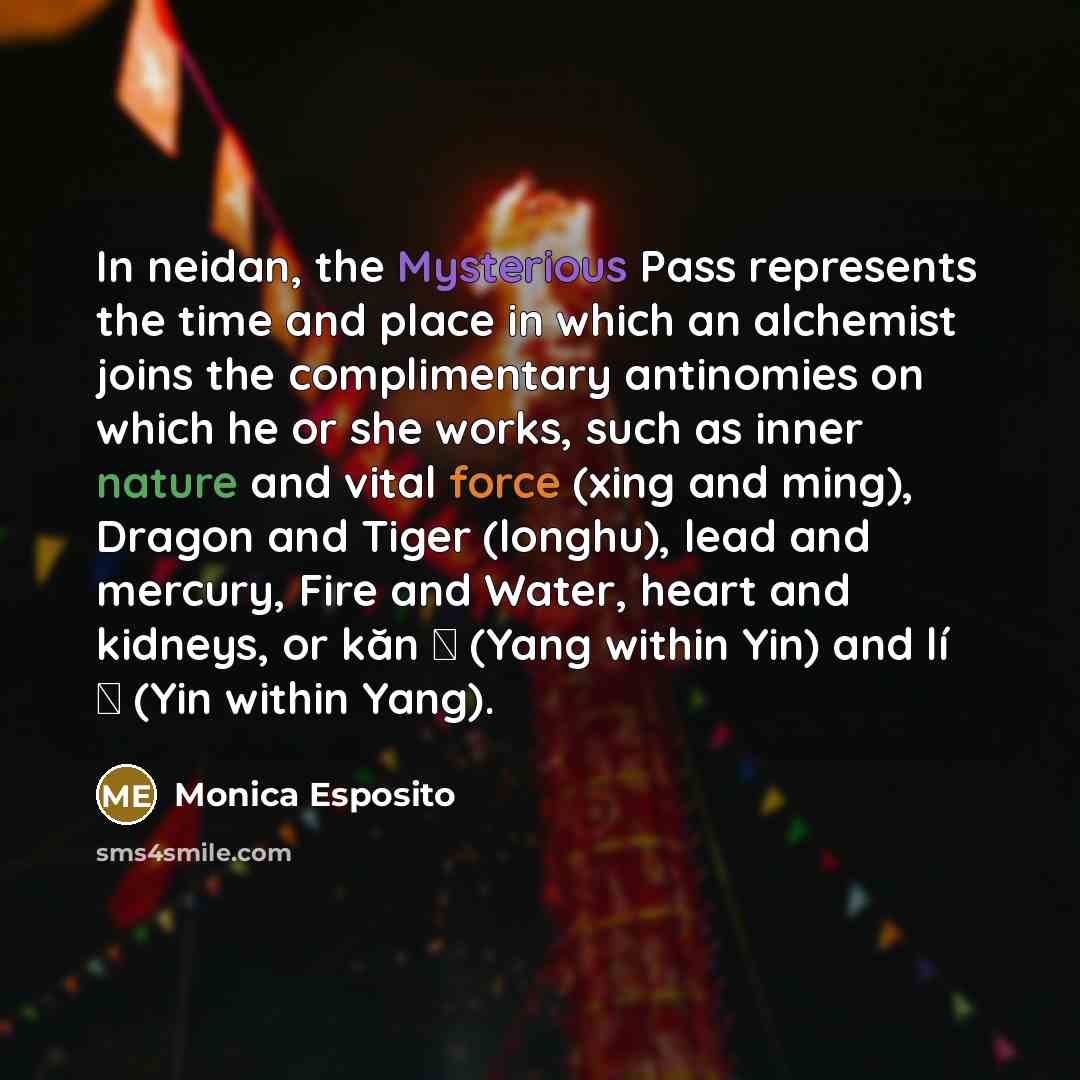 “In neidan, the Mysterious Pass represents the time and place…” quote by Monica Esposito