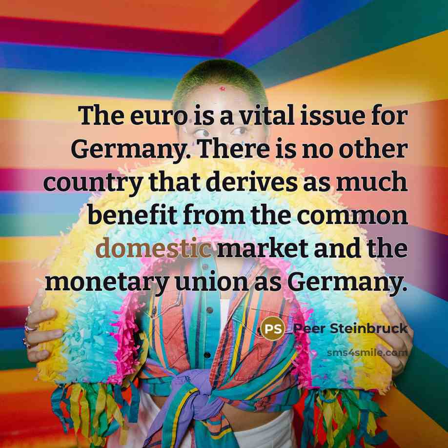 “The euro is a vital issue for Germany. There is…” quote by Peer Steinbruck
