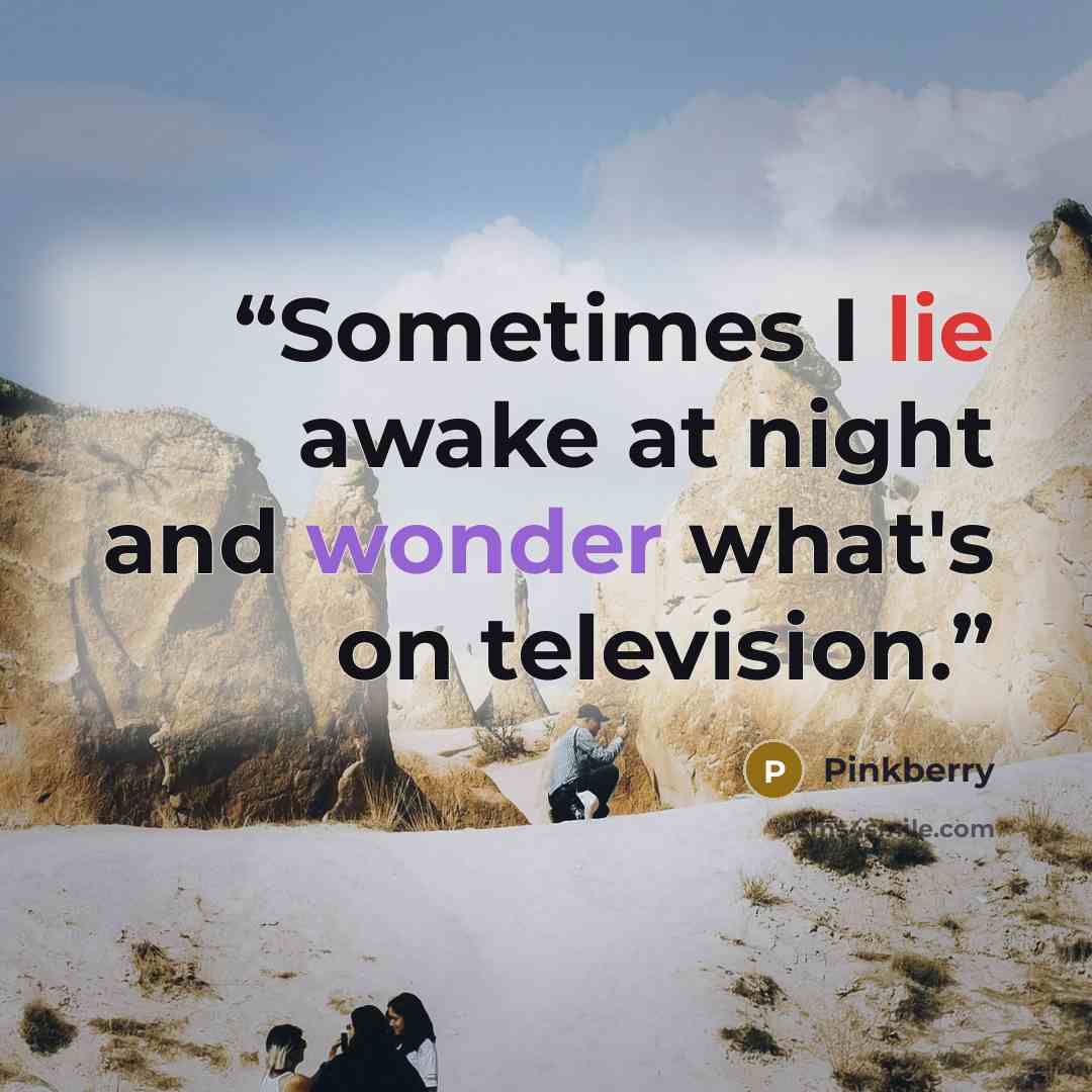 “Sometimes I lie awake at night and wonder what's on television.” quote by Pinkberry