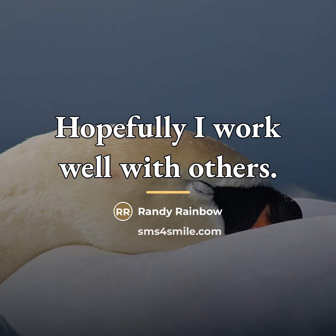 “Hopefully I work well with others.…” quote by Randy Rainbow