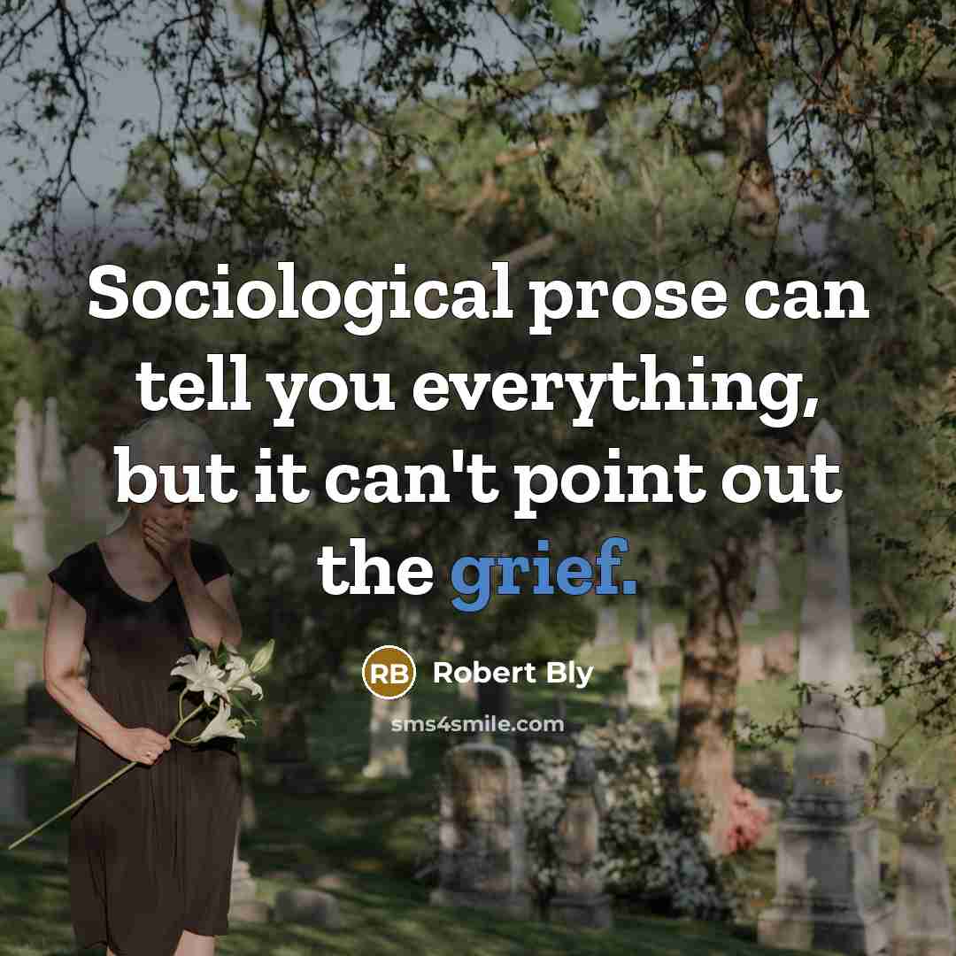 “Sociological prose can tell you everything, but it can't point…” quote by Robert Bly