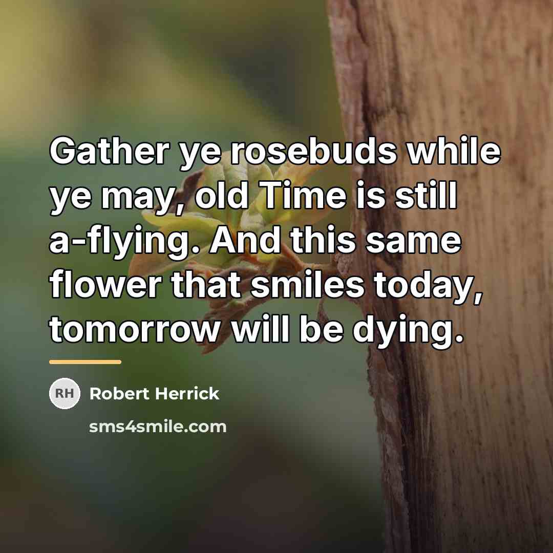 “Gather ye rosebuds while ye may, old Time is still…” quote by Robert Herrick