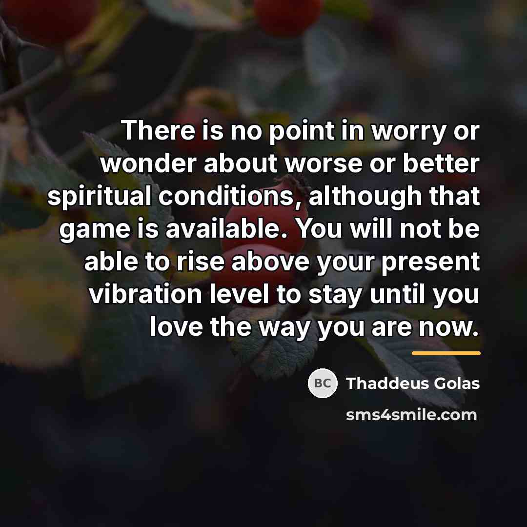 “There is no point in worry or wonder about worse…” quote by Thaddeus Golas