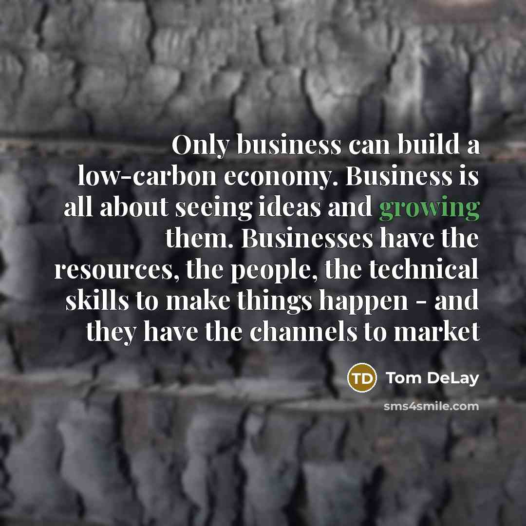 “Only business can build a low-carbon economy. Business is all…” quote by Tom DeLay