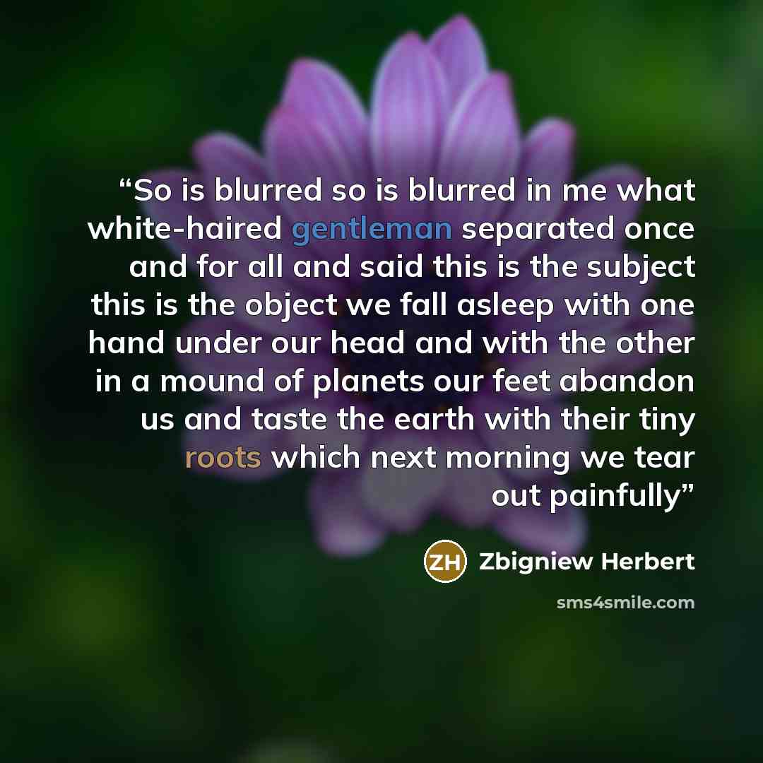 “So is blurred so is blurred in me what white-haired gentleman separated once and for all and said this is the subject this is the object we fall asleep with one hand under our head and with the other in a mound of planets our feet abandon us and taste the earth with their tiny roots which next…” quote by Zbigniew Herbert