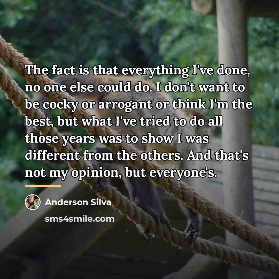 “The fact is that everything I've done, no one else…” quote by Anderson Silva