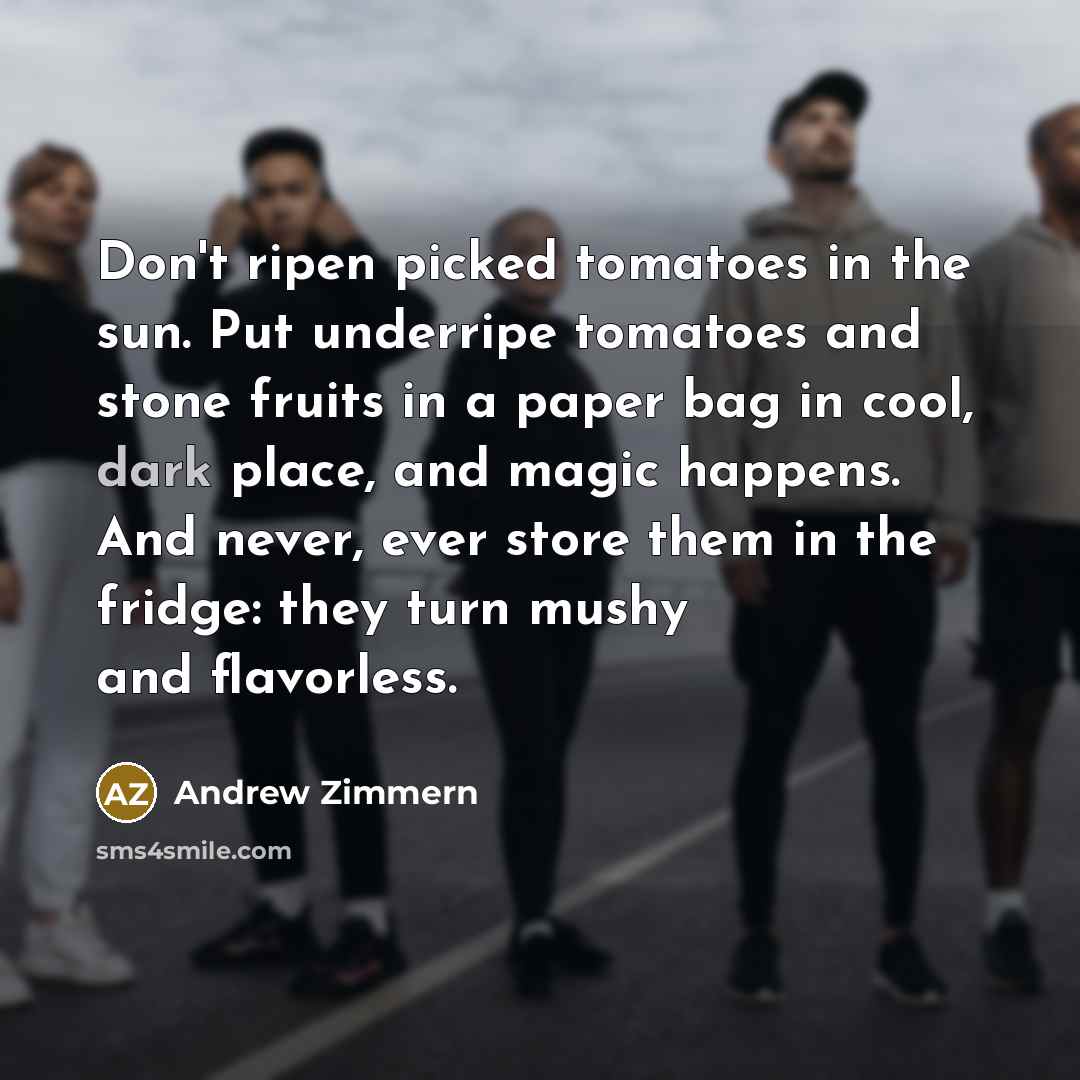“Don't ripen picked tomatoes in the sun. Put underripe tomatoes…” quote by Andrew Zimmern