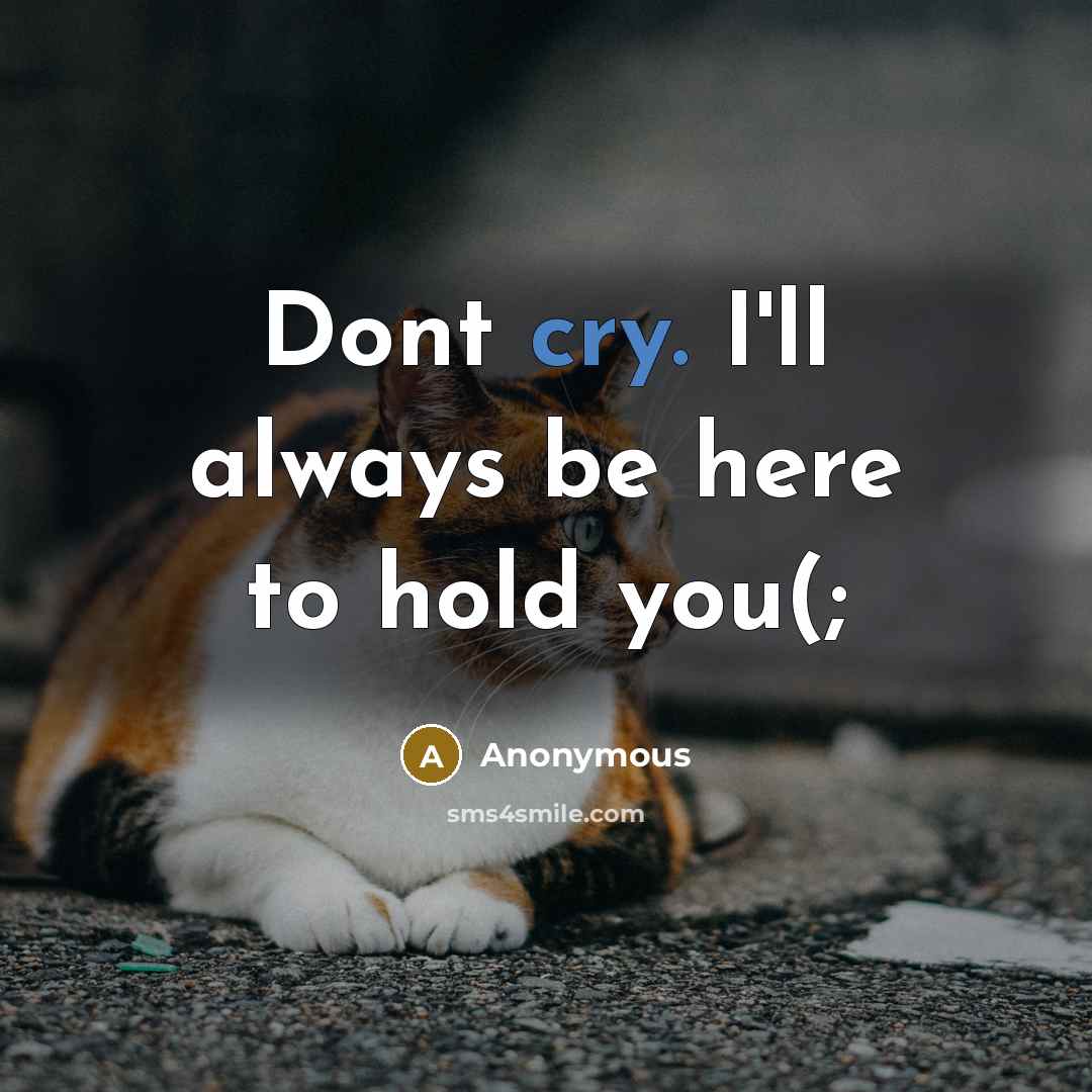 “Dont cry. I'll always be here to hold you(;…” quote by Anonymous