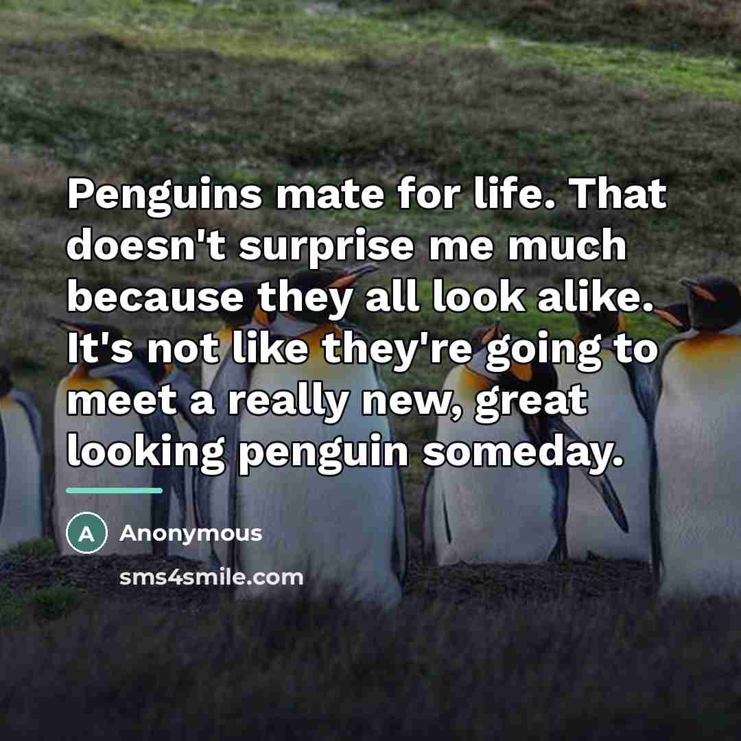 “Penguins mate for life. That doesn't surprise me much because…” quote by Anonymous