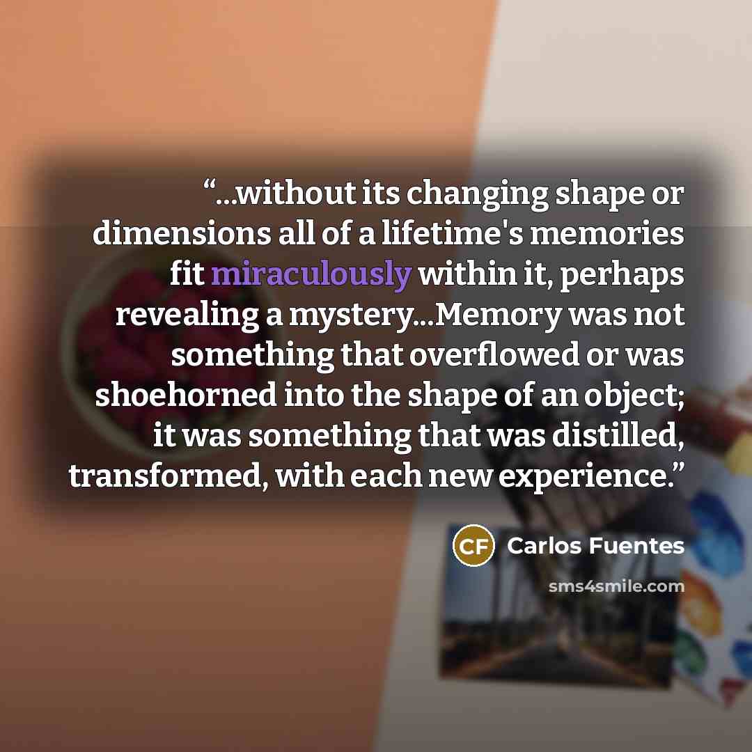 “...without its changing shape or dimensions all of a lifetime's memories fit miraculously within it, perhaps revealing a mystery...Memory was not something that overflowed or was shoehorned into the shape of an object; it was something that was distilled, transformed, with each new experience.” quote by Carlos Fuentes
