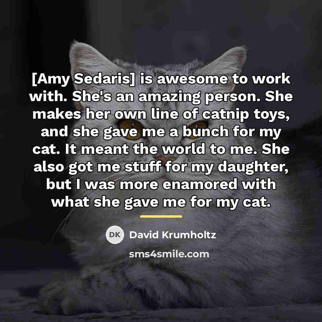 “[Amy Sedaris] is awesome to work with. She's an amazing…” quote by David Krumholtz
